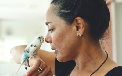 Bird Care & Accessories: Creating a Safe, Stimulating, and Joyful Home for Your Feathered Friend