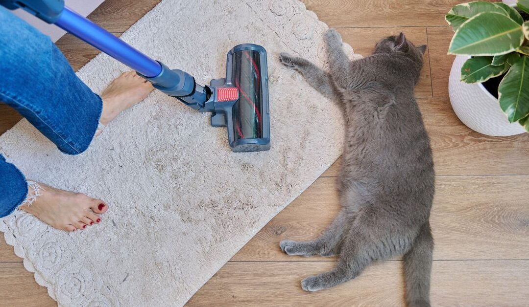 How to Maintain a Clean, Healthy, and Pet-Friendly Home: The Ultimate Pet Cleaning & Hygiene Guide